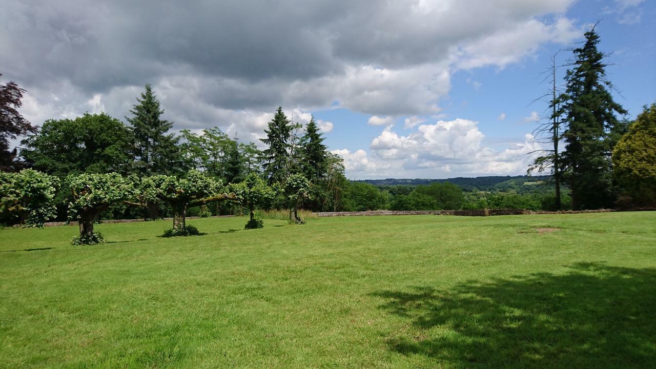 Pierre Deluen Domaine De La Grange De Quaire Bed & Breakfast Chassenon Екстериор снимка