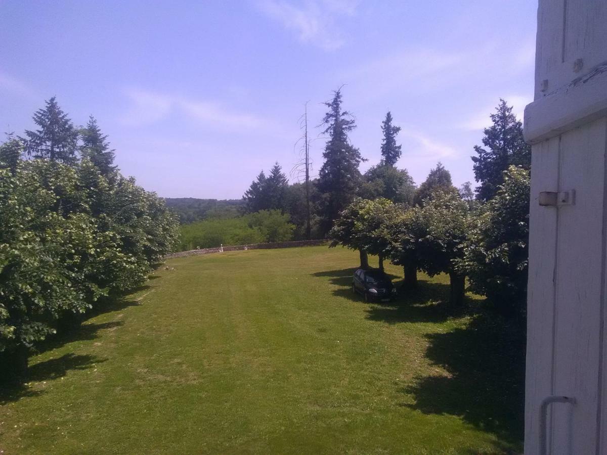 Pierre Deluen Domaine De La Grange De Quaire Bed & Breakfast Chassenon Екстериор снимка